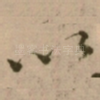 以