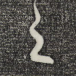之