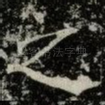 之