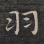 羽