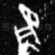 兔
