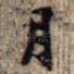 月