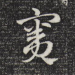 窦