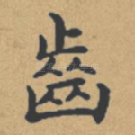齿