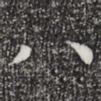 八