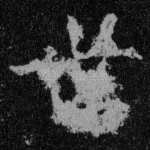 世