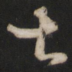 甚