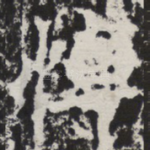 悼