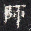 师