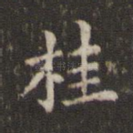 桂