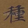 种