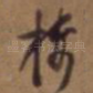 楼