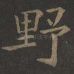 野