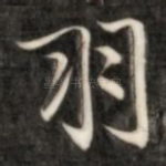 羽
