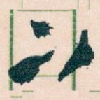 下