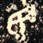 民