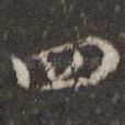四