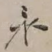 水