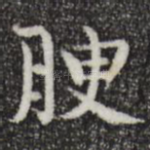 腴