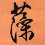 藻