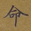 命