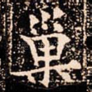 巢