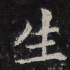 生