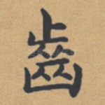 齿