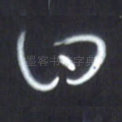 曰