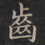 齿