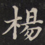 杨