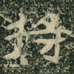 将