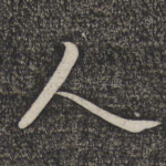 人