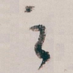 之