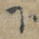 下