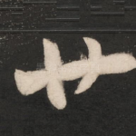 廿