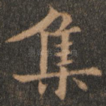 集
