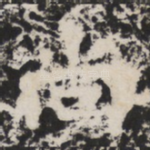 尚