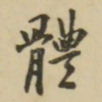 体