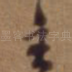 主