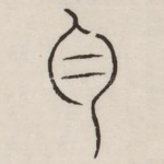 白