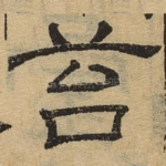 苔