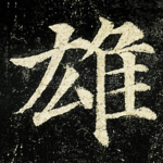 雄