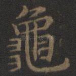 龟