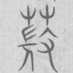 薇