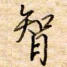 智