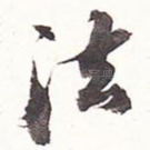 法