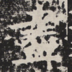 尽