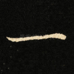 一