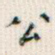 公